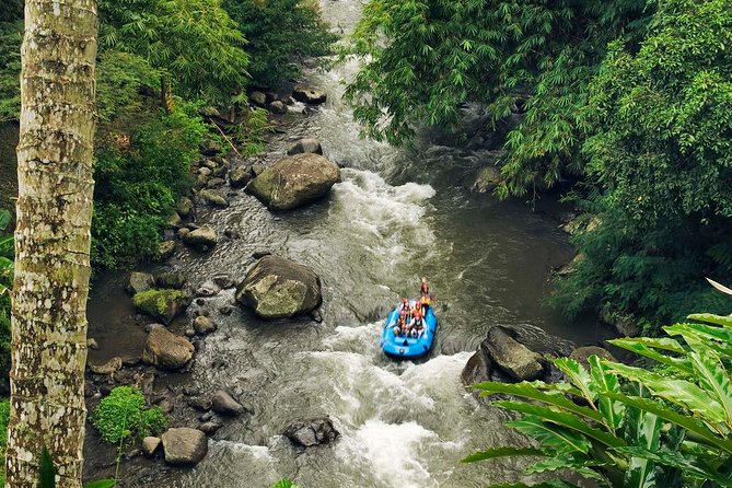 Ubud White Water Rafting with Waterfall and Lunch - Bali Bintang Rafting on the Ayung River, Ubud’s best mix of fun and scenery