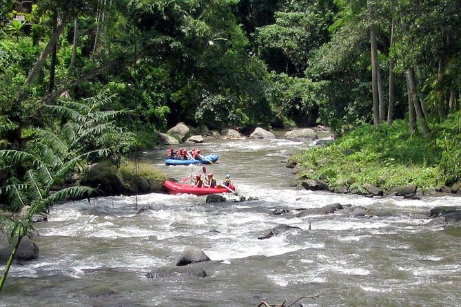 Ubud White Water Rafting with Waterfall and Lunch - Fitness check: the steps are the real challenge here