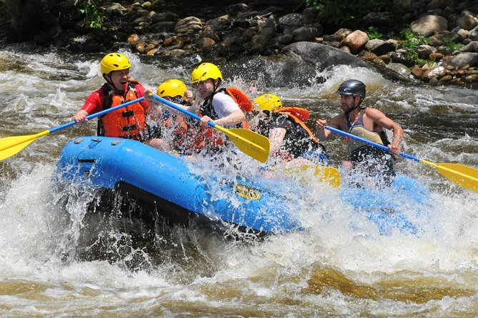 Ubud White Water Rafting with Waterfall and Lunch - Price and value: is $26.97 a smart deal?