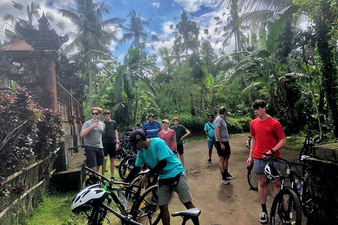 Ubud Wonderful Half Day Downhill Cycling Tour with Lunch - What you eat and drink: Balinese flavors, water breaks, and fruit stops