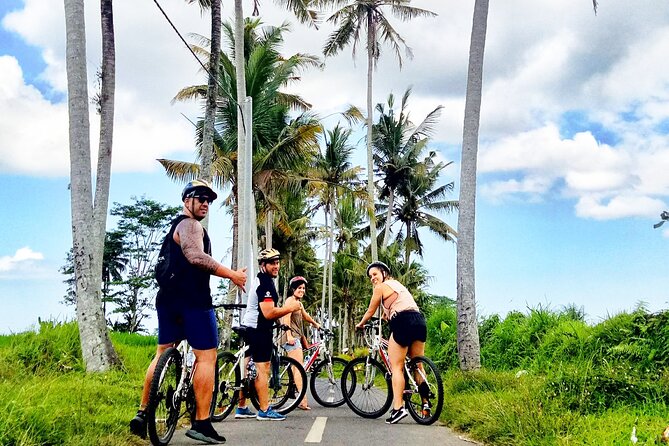 Ubud Wonderful Half Day Downhill Cycling Tour with Lunch - Bike comfort, rain gear, and fitness expectations for ordinary riders