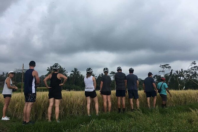 Ubud Wonderful Half Day Downhill Cycling Tour with Lunch - Price and value: why $45 works when you add up what’s included