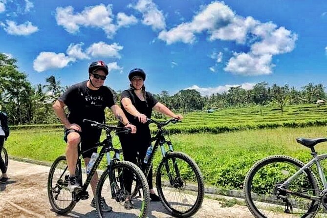 Ubud Wonderful Half Day Downhill Cycling Tour with Lunch - Who this tour suits best, and who should think twice