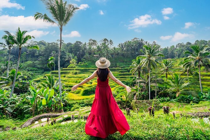 Ultimate Ubud Experience All Inclusive Private Day Tour - Key highlights that make this Ubud day work