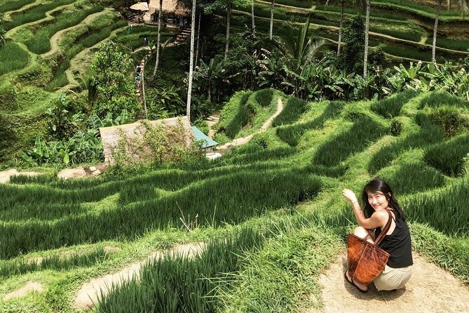 Ultimate Ubud Experience All Inclusive Private Day Tour - Tegenungan Waterfall: an easy nature break near Ubud