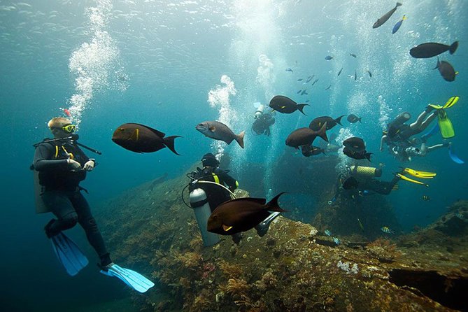 USS Liberty Shipwreck Scuba Diving at Tulamben Bali - Why the USS Liberty wreck in Tulamben is so special