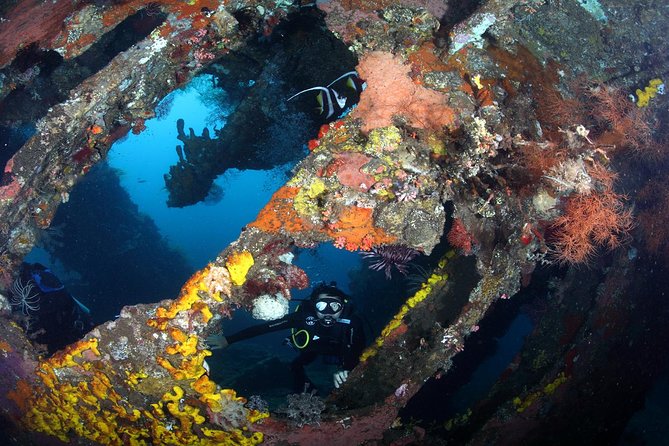USS Liberty Shipwreck Scuba Diving at Tulamben Bali - Door-to-door pickup and the realistic group size