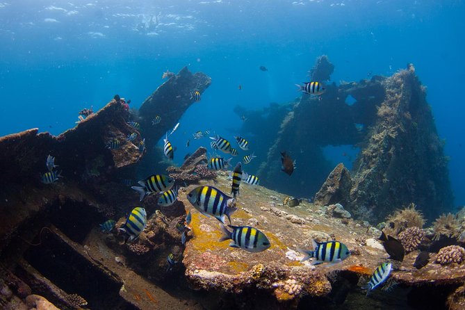 USS Liberty Shipwreck Scuba Diving at Tulamben Bali - Price and what $109.50 really buys you