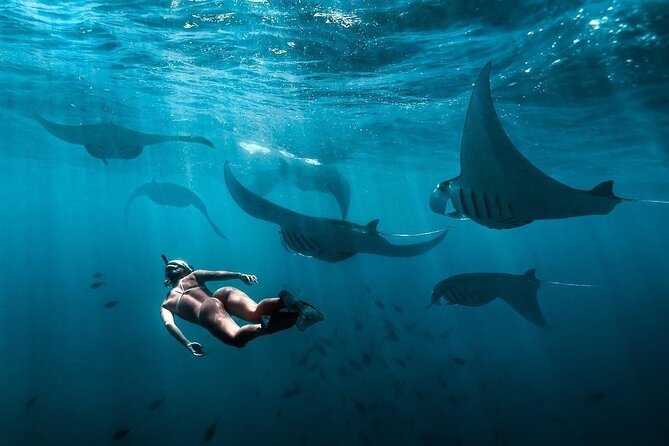 VIP Private Boat to Nusa Penida: Snorkeling with Mantas + Land Tour Adventure - Lunch on land and staying comfortable in a long day