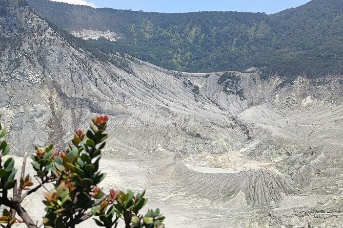 Volcano and Domas Crater of Hot Stony Bubble from Jakarta Lunch - Lembang stops, pineapple shopping plus rice and tea views