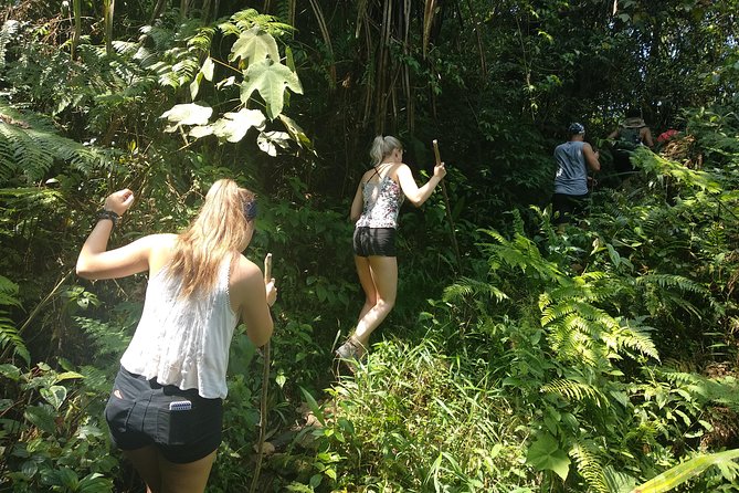 volcano hike and jungle trekking adventure - Water rewards: waterfall swim and hot spring soak