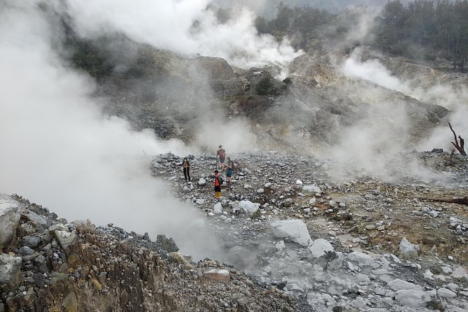 volcano hike and jungle trekking adventure - Rice field scenery: a calmer kind of beauty between stops