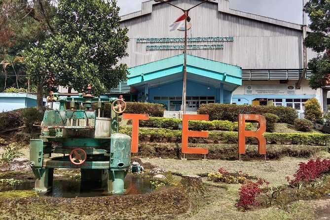 Volcano, Hot Spring, Tea Factory, rice fields and Coffee Tour - A long-but-good West Java day from Jakarta