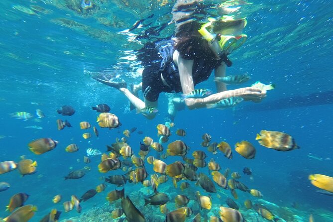 West Nusa Penida With Snorkeling Private Guided Tour - Key things that make this tour worth considering