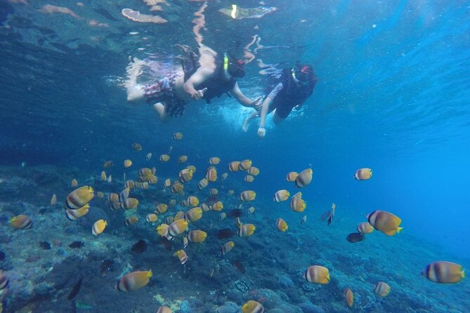 West Nusa Penida With Snorkeling Private Guided Tour - Hotel pickup and express boat crossing, the smooth part, mostly