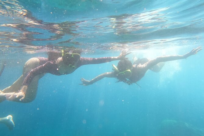 West Nusa Penida With Snorkeling Private Guided Tour - Guides, timing, and the reality of a busy island day