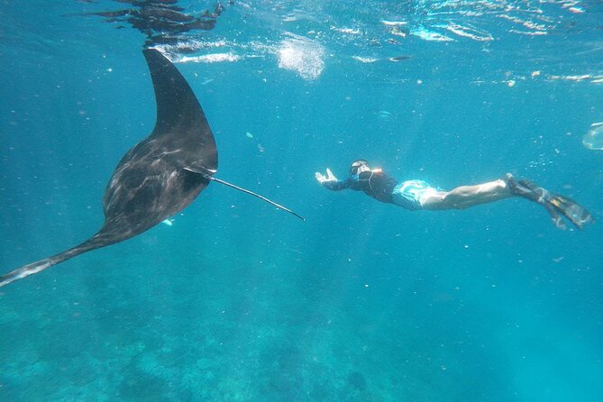 West Nusa Penida With Snorkeling Private Guided Tour - Snorkeling focus: Manta Point, Gamat Bay, and Crystal Bay