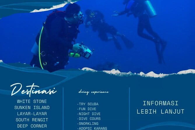 Whale Shark Adventure 2 Days 1 Night Sharing Trip - Should you book the Whale Shark Adventure 2 Days 1 Night Sharing Trip?