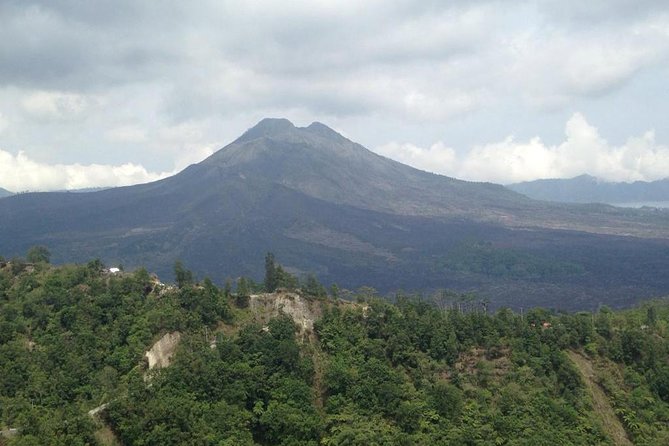 Wonderful 3 Days of Bali Private Guided Tour All Inclusive - Price and What You Actually Get for About $44