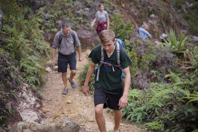 Wonderful 7 Days North Sumatra Tour (Include: 2 Days 1 Night Jungle Trekking) - Medan to Bukit Lawang: how the week gets moving