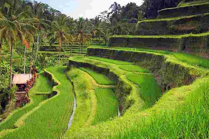 Wonderful Of Ubud Tours - Tegenungan Waterfall: long enough for photos, short enough to stay on track