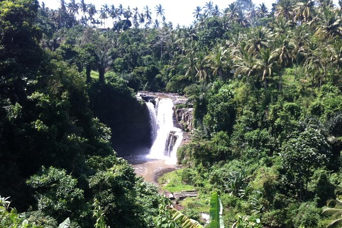 Wonderful Of Ubud Tours - What the driver does best, and why it changes the day