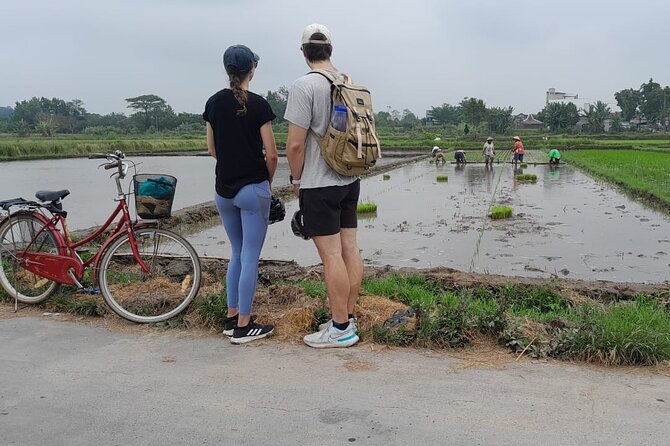 Yogyakarta Cycling Tour Around the Villages and Fish Farm - Price and Logistics, The $23 Question That Deserves an Honest Answer